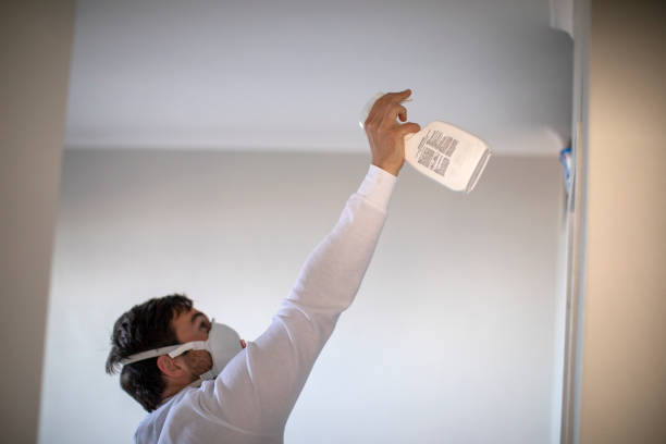 Best Best Mold Removal Companies  in Greenwood, LA