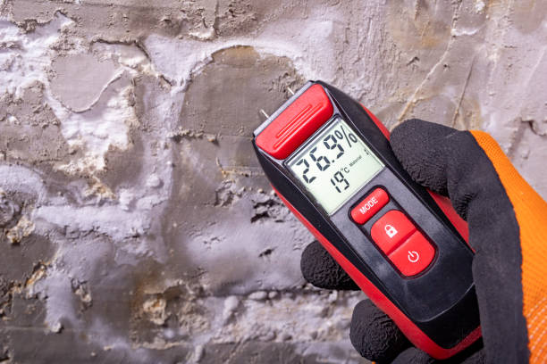 Best Office Mold Removal Services  in Greenwood, LA