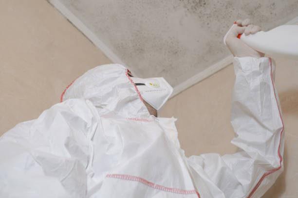 Mold Testing and Removal in Greenwood, LA