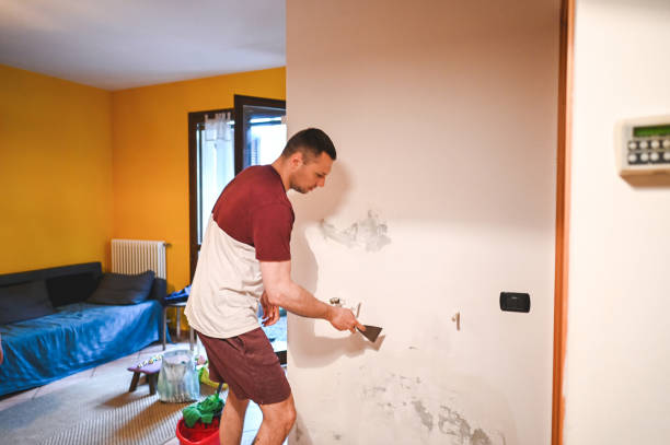 Best Affordable Mold Removal  in Greenwood, LA