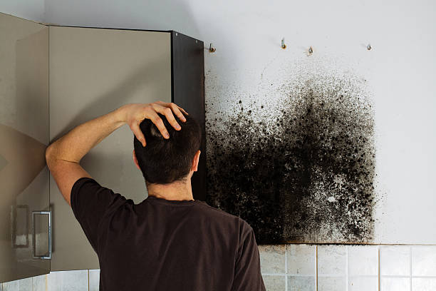 Best Mold Testing  in Greenwood, LA